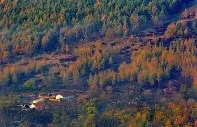 大连哪里的秋色最美呢,大连赏秋景的地方