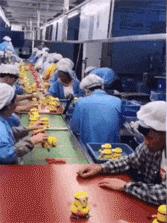 搞笑gif开心一刻单身也挺好,搞笑gif开心视频