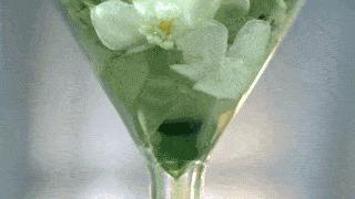 夏天家里蚊子多教你一招不用蚊香,很多人不懂蚊子怕什么