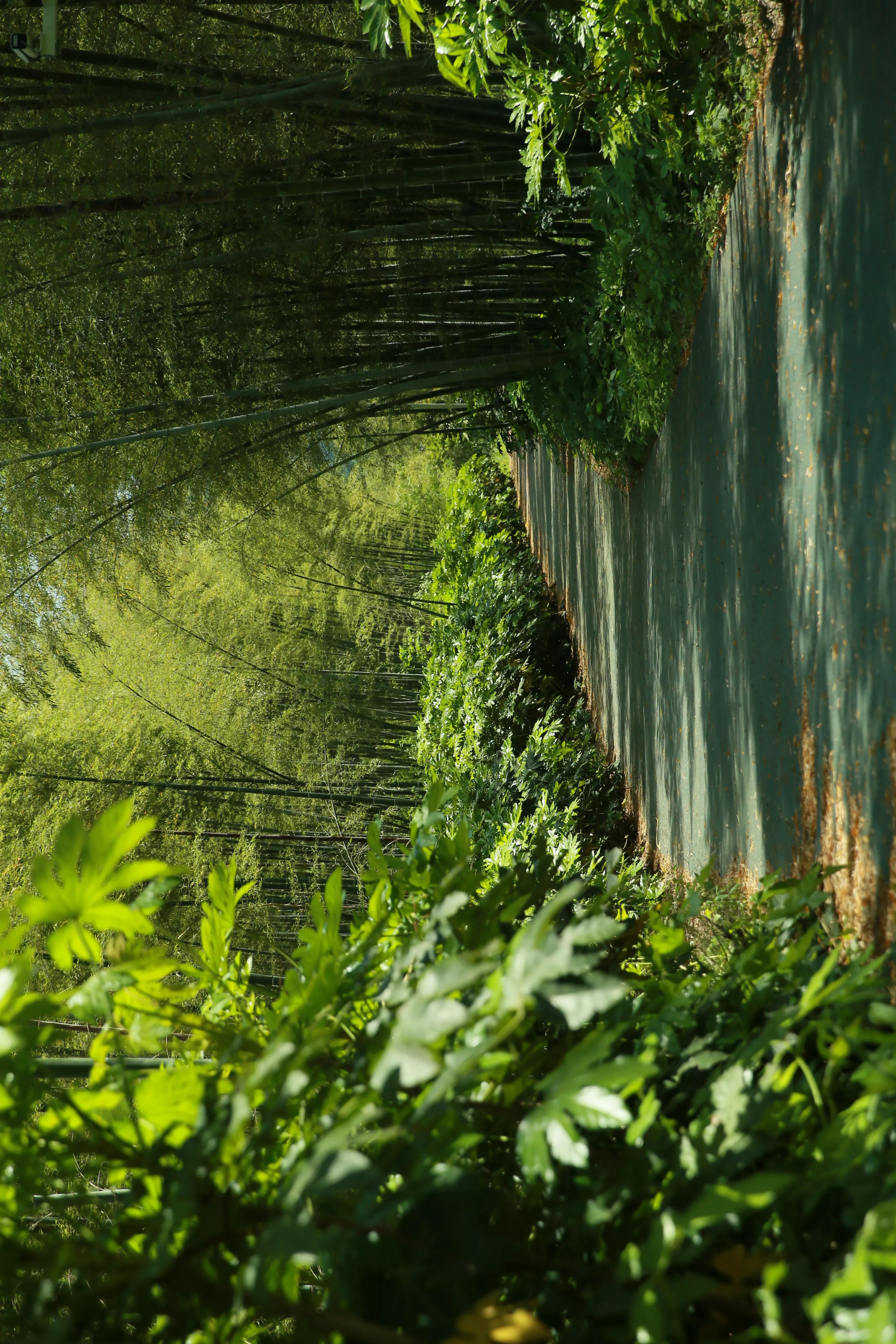 石塘竹海适合小孩子玩吗,南京江宁石塘竹海怎么样