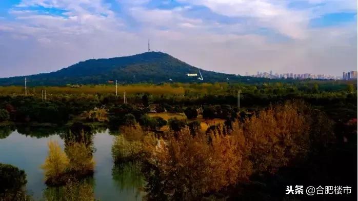 赠送面积超容积率,合肥高性价比叠墅