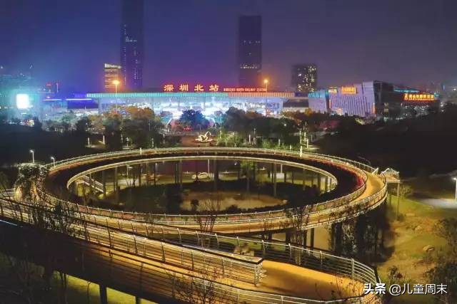 深圳中心公园足球场,深圳中心公园大草坪