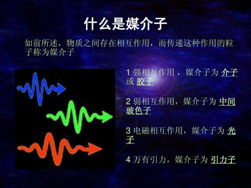 荣获六个奖项的科学家,中国科学家发现中微子
