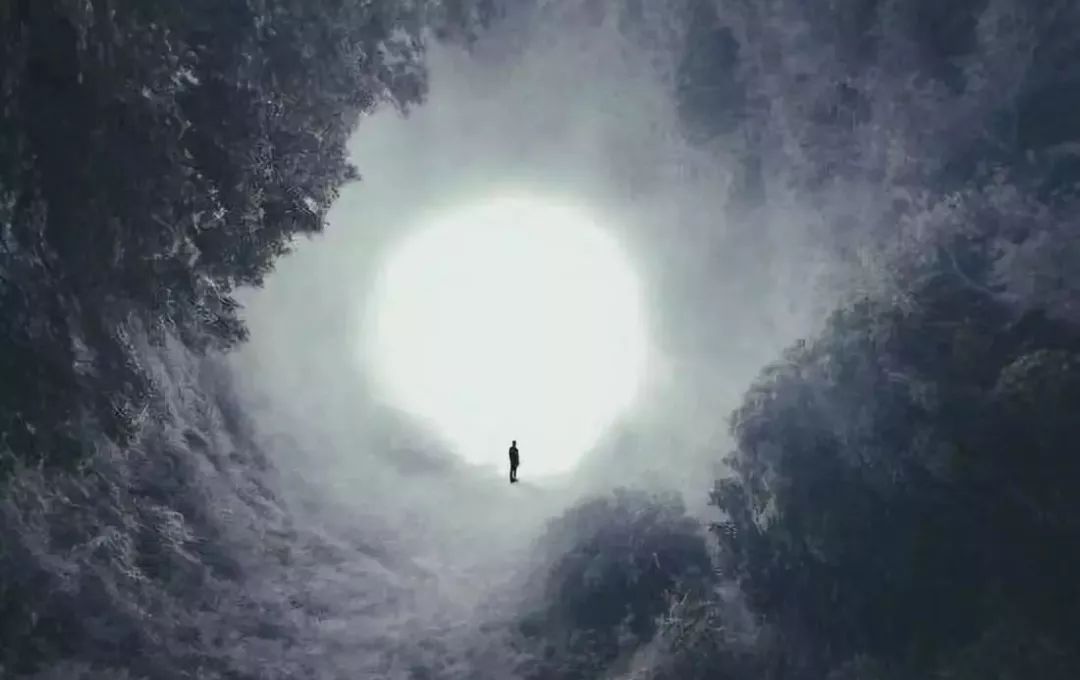 网文20年免费,网文20年20本书