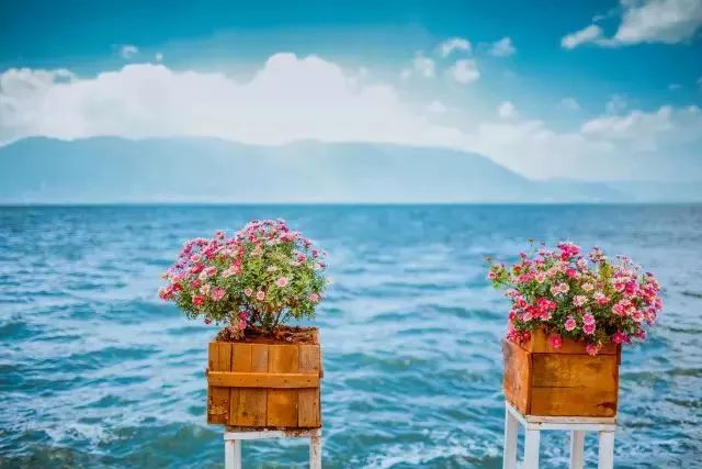 等一个人陪我去大理旅行,如果生活不如意不如一起去大理