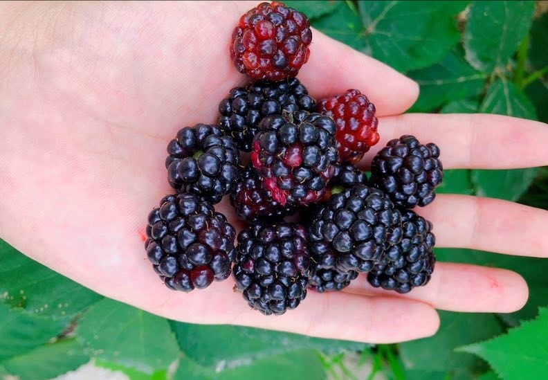 似水流年青春记忆,似水流年的青春原唱