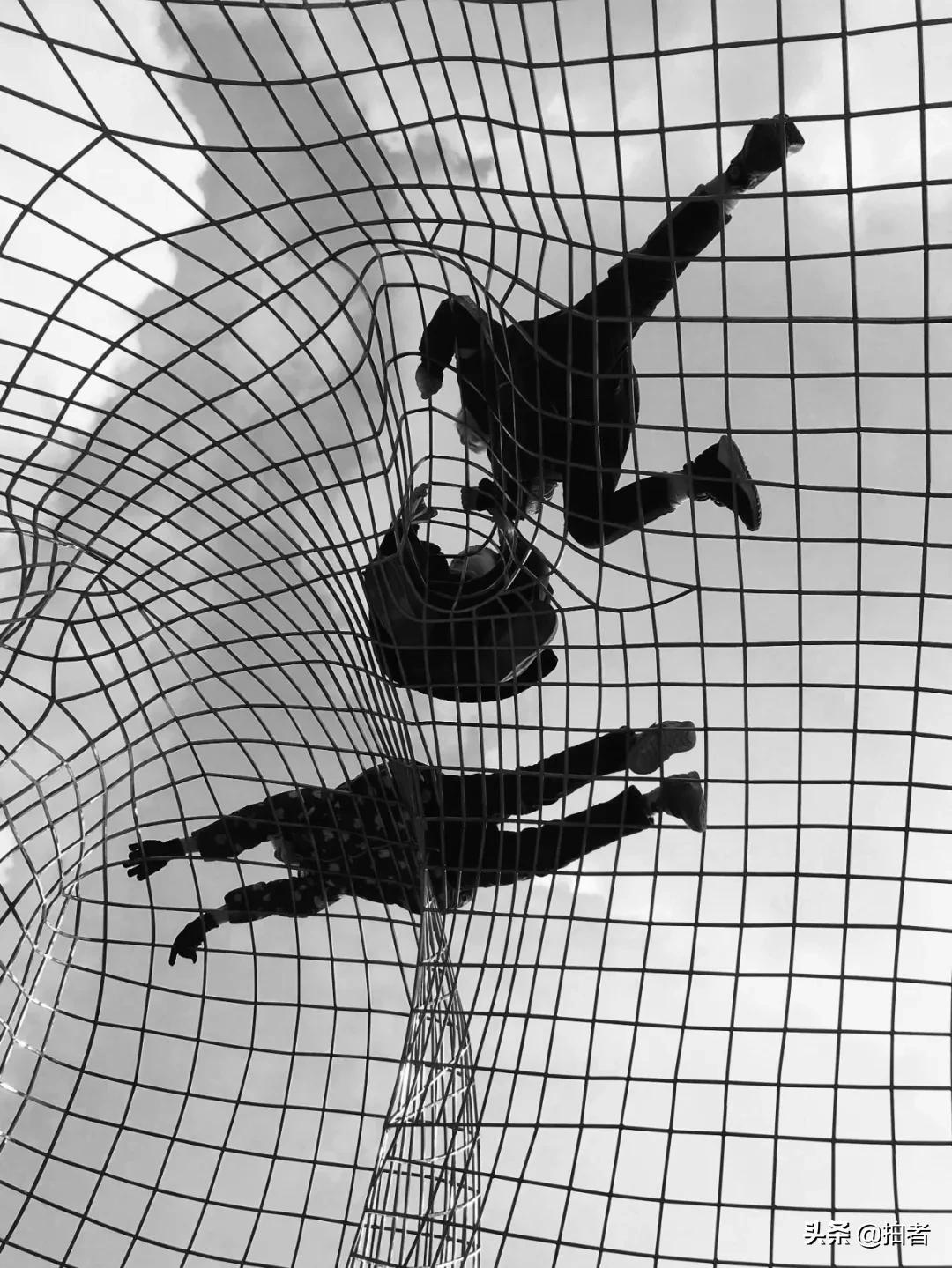 手机摄影天花板机型,手机摄影爱生活