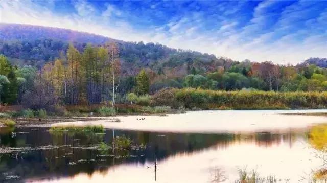 哈尔滨自驾三亚边走边玩最佳路线,哈尔滨到漠河自驾旅游攻略10天