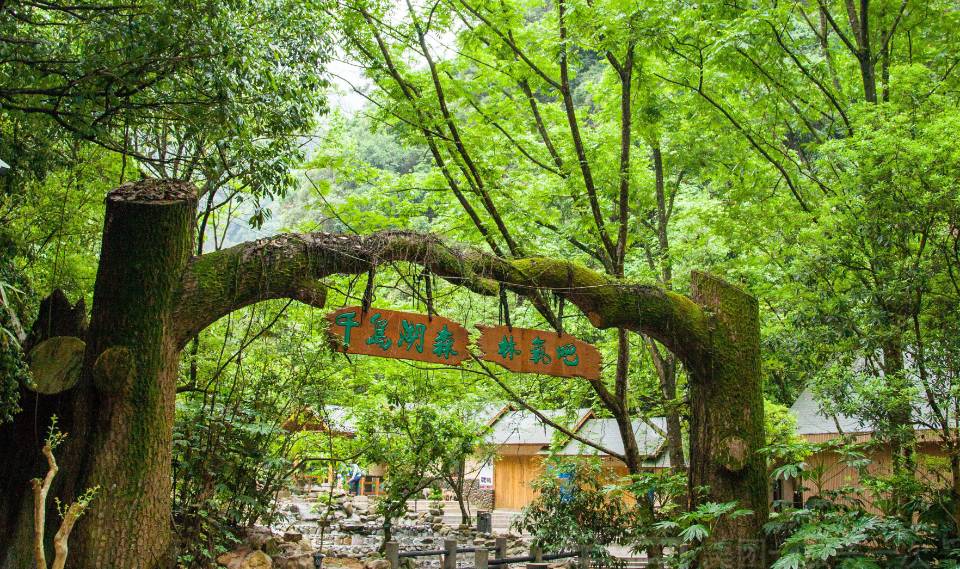 浙江十大水质最好的湖,浙江水质最好的乡镇