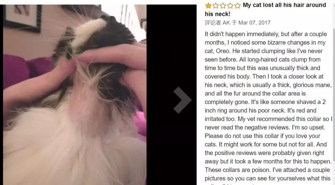 猫狗驱虫环哪个牌子好用,驱虫项圈有害宠物吗