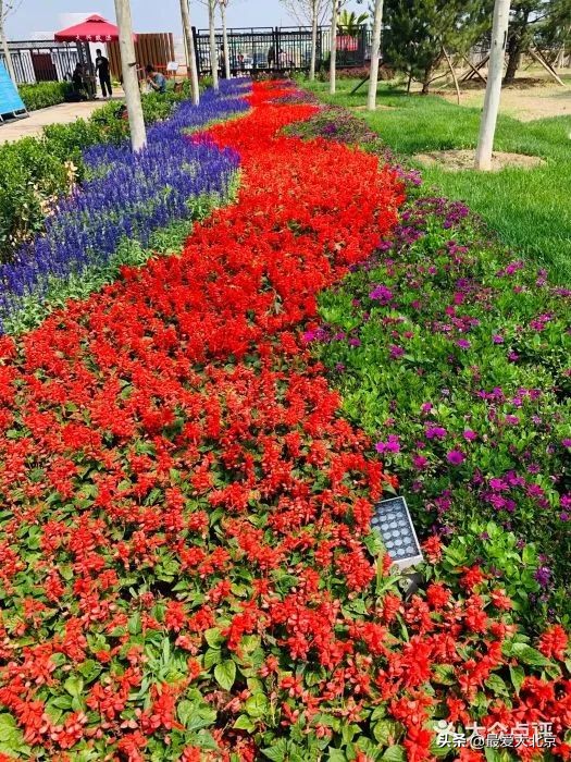 京城新增一“小江南”！免费人少