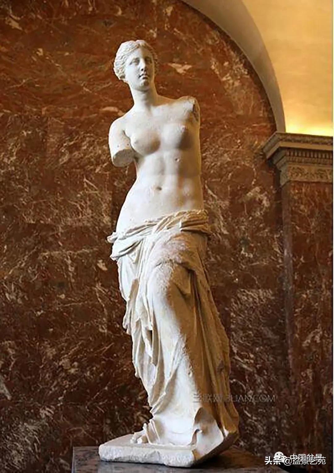 老树桩的造形特征有哪些,论述树桩盆景主要流派的艺术特点