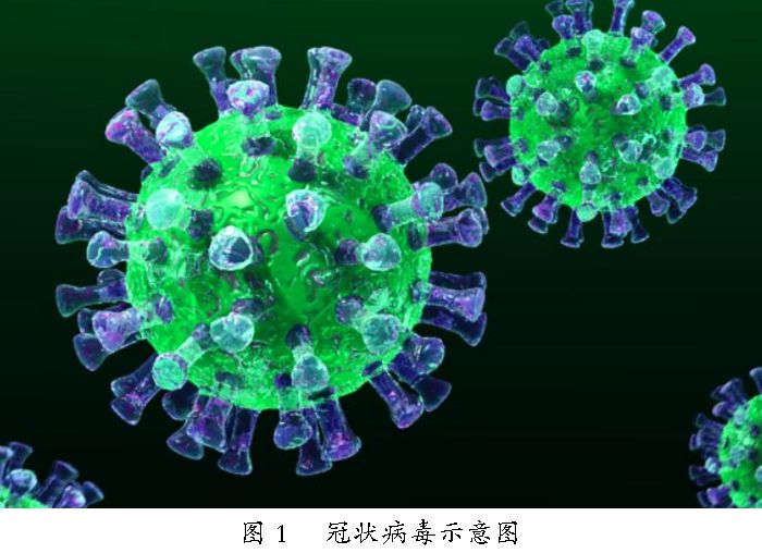 新冠病毒防疫手册最新版,最新版新冠病毒防护手册