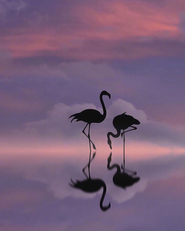 适合很晚睡不着发朋友圈心情说说,一个人孤独晚睡朋友圈的说说