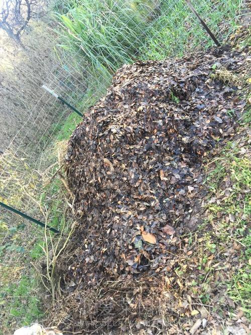 动物粪便堆肥的制作方法,怎么自己制作埋土里堆肥