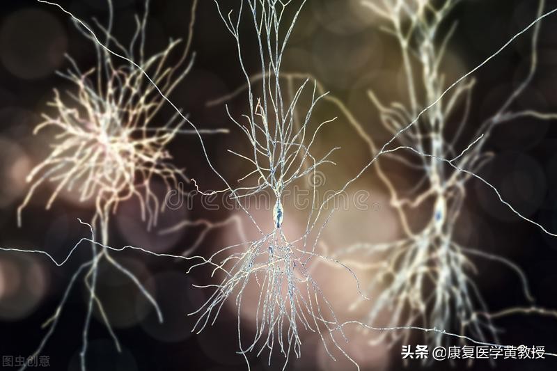 想象力重要吗,想象力的重要性