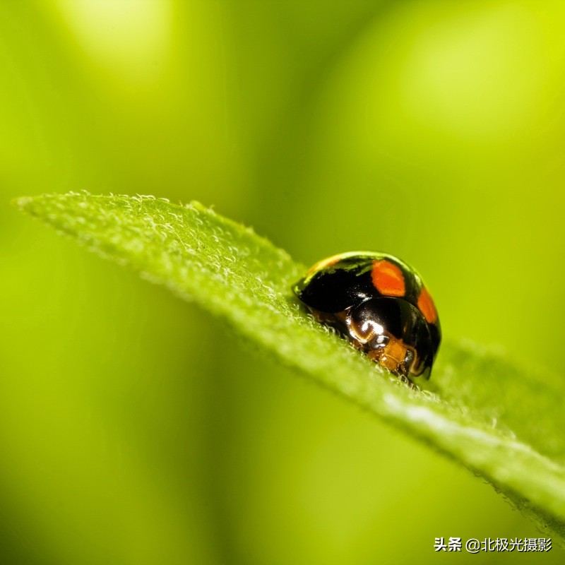 测光方式有几种及特点,什么是测光如何正确选择测光