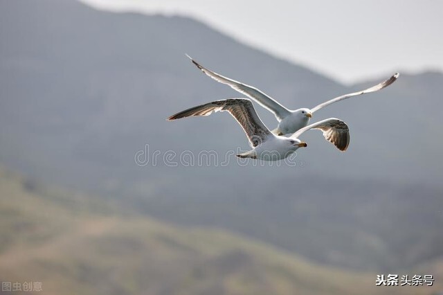 中国民企悲歌（四）倒卖飞机发射卫星狂人牟其中