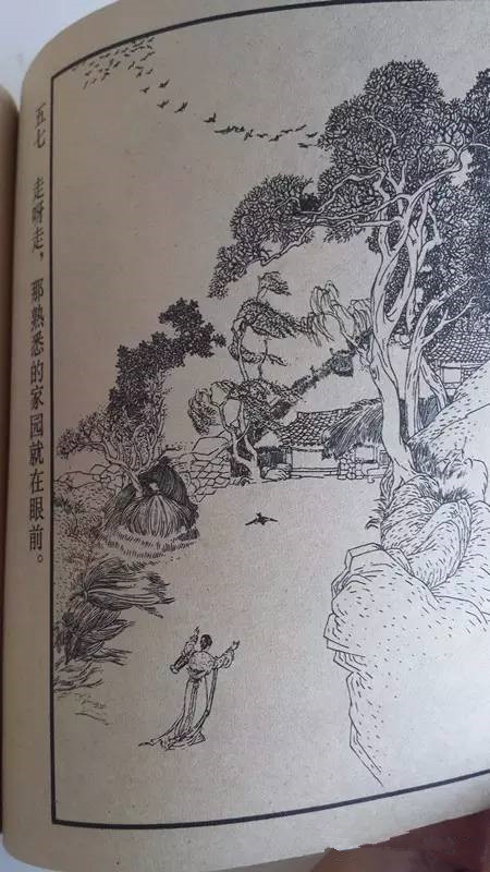 小人书《马兰花》:小时候最大的梦想,是拥有一朵马兰花