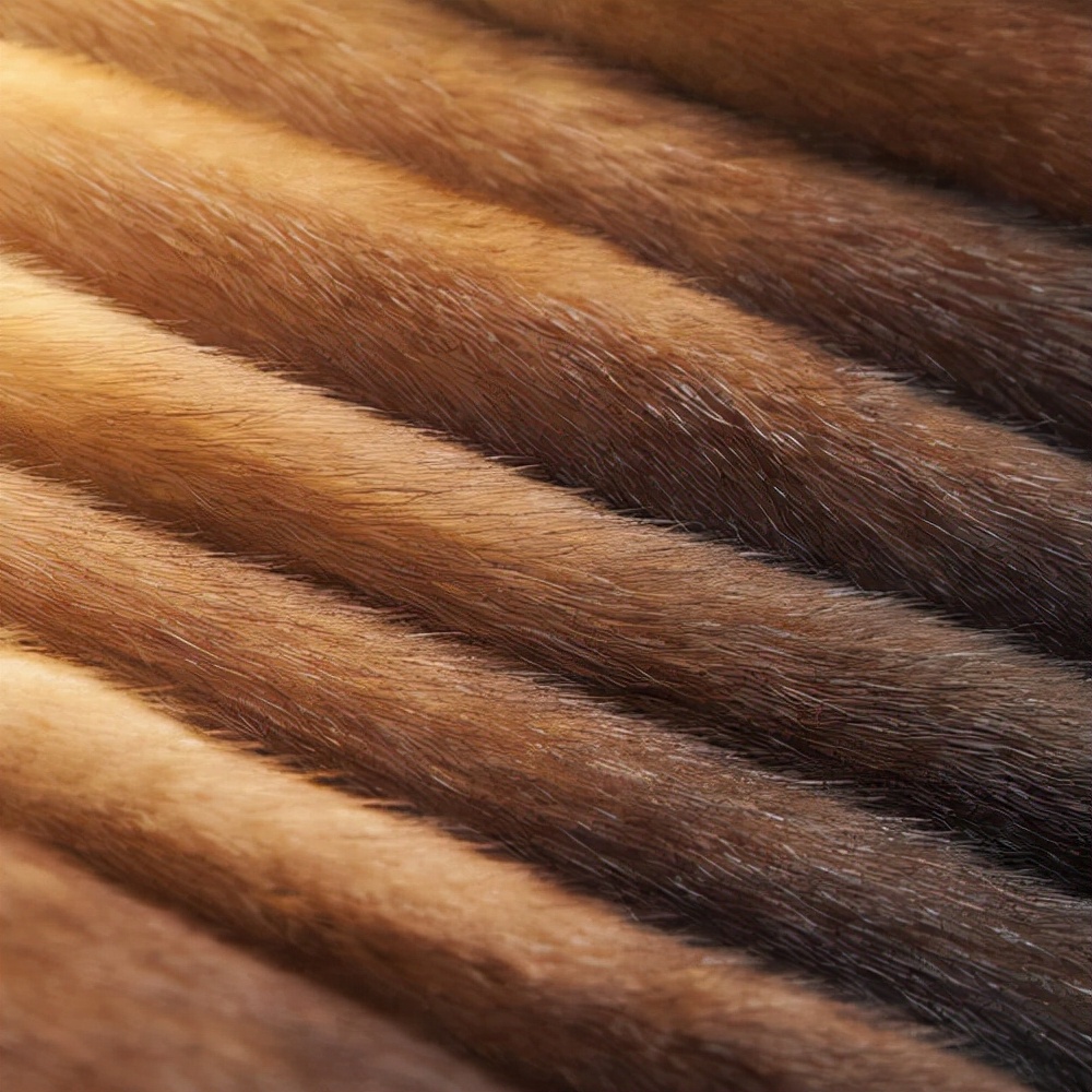 河北黄骅土特产,黄骅特产河北沧州有什么特产