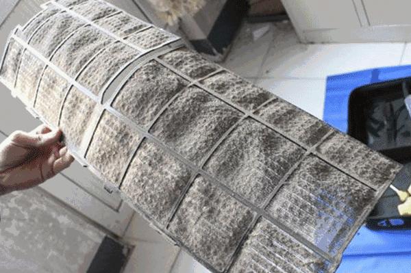 大脸猫推荐理由,大脸猫保健品