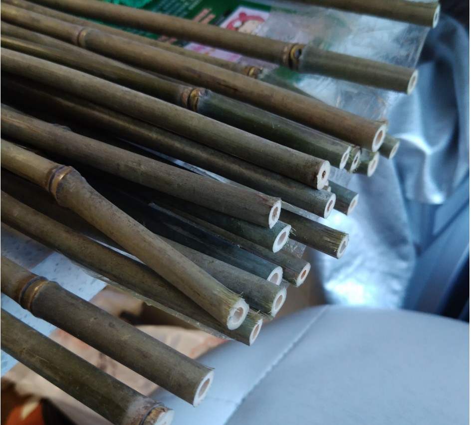 下雨过后钓鲶鱼最好的钓点,钓鲶鱼的神仙钓点在哪里