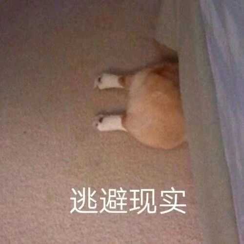 鎷ц灪涓濋潰璇曢,鎷ц灪涓濋潰璇曟祴璇曢