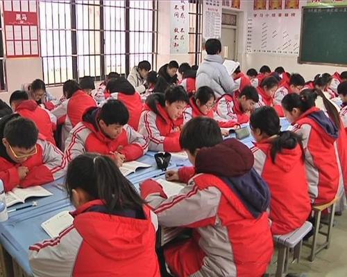 暑假免费托管的影响,暑假托管班强迫上违法吗