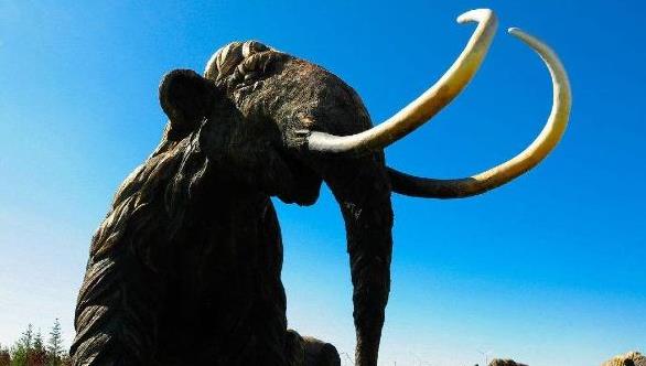 猛犸象是灭绝最晚的史前动物,猛犸象是怎么灭绝的