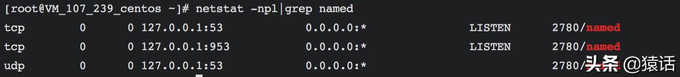 搭建dns服务器关键步骤文字描述,内网dns服务器搭建开源产品