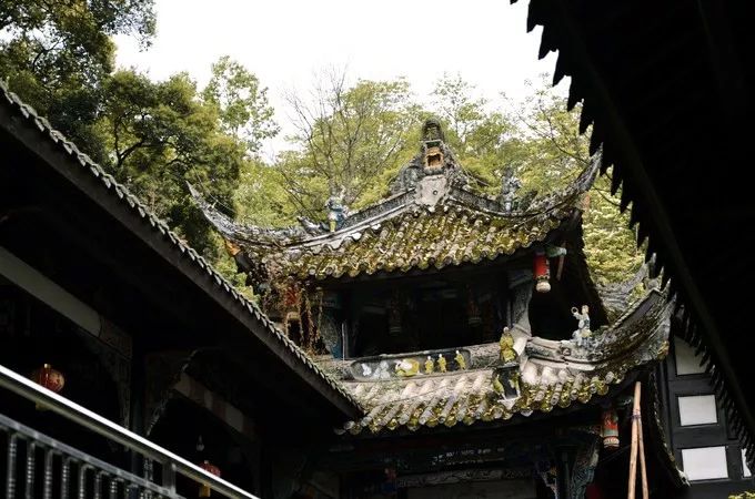 1h飚拢！千年银杏、云海星空、木屋烧烤……这条路线9……