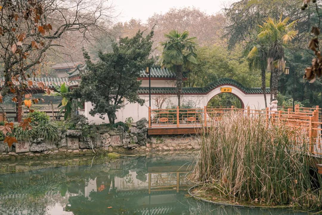 父母约会时，玩得比你野多了