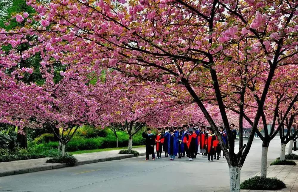 河北科技大学石家庄校区概况,河北科技大学在石家庄的排名