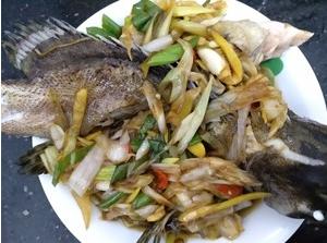 如何清蒸石斑鱼又嫩又不腥又好吃,最简单快速清蒸石斑鱼做法