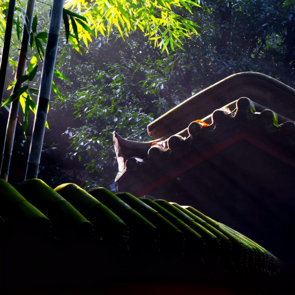 诗词赏析每日一首思念,诗词赏析每日一首秋