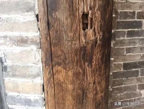 河南许昌樱花景点,许昌樱花最美的地方