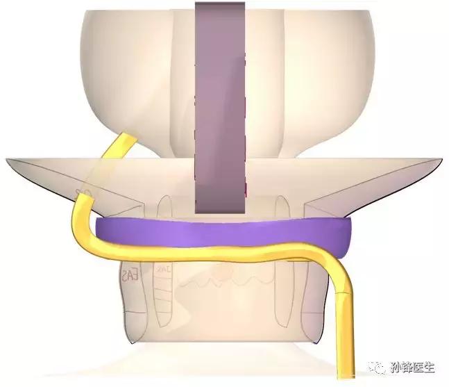 游学旅行新东方,游学打击乐