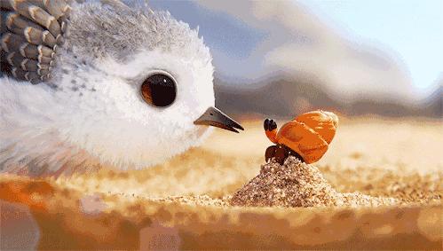 豆瓣分10分的电影,豆瓣9.0以上的电影深度解说