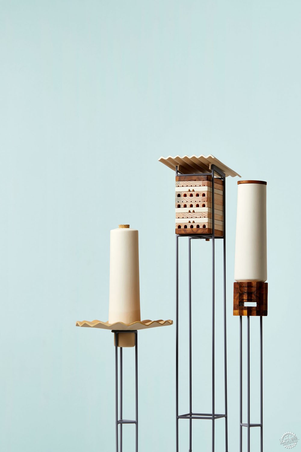 独居蜜蜂有哪些,独居蜜蜂