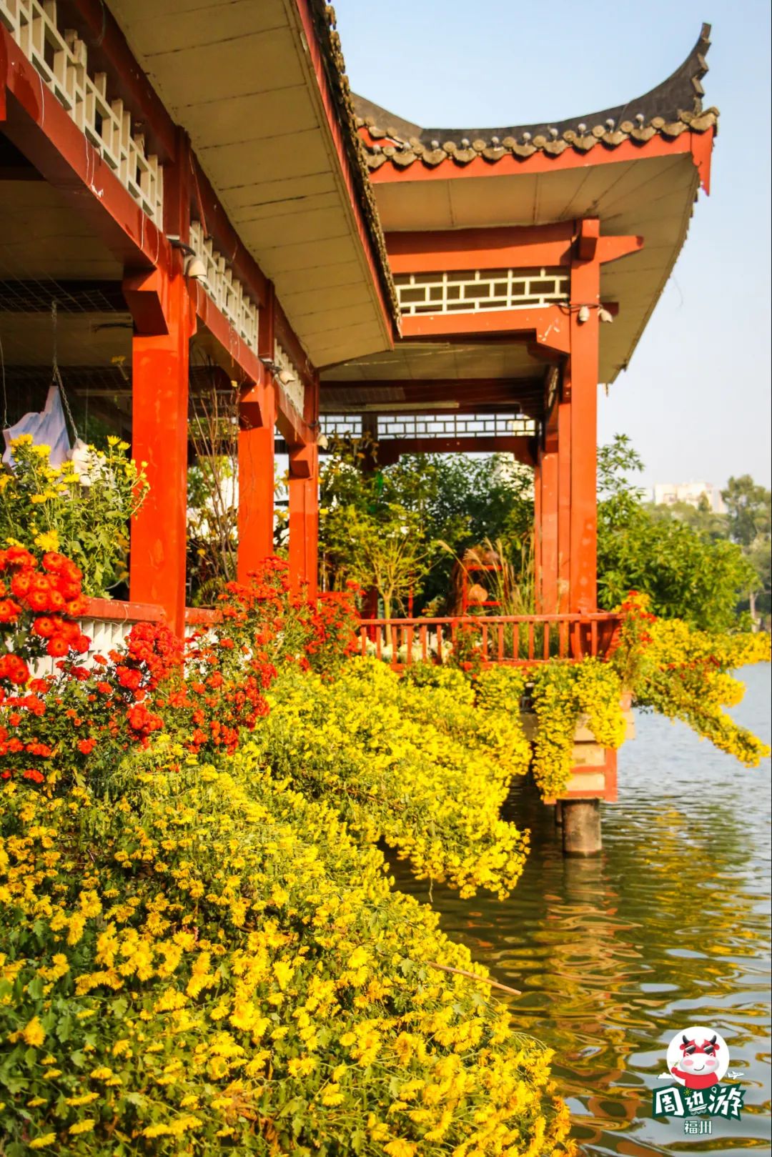 福州菊花展21年还有吗,福州西湖菊花展人山人海