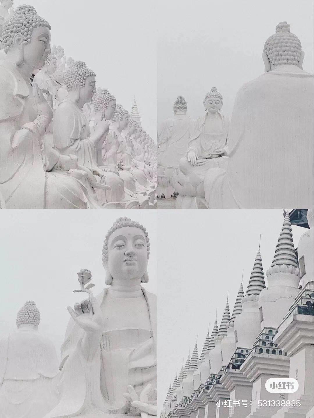 李子柒家乡成旅游景点,李子柒乡愁