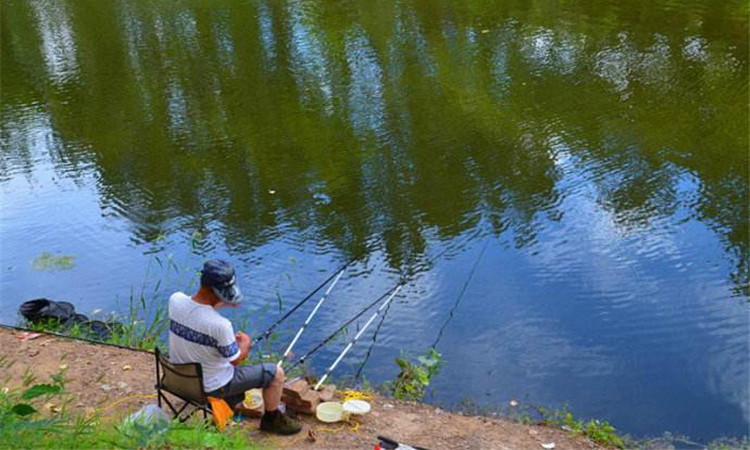 鱼护怎么防止老化,好一点的鱼护有必要吗