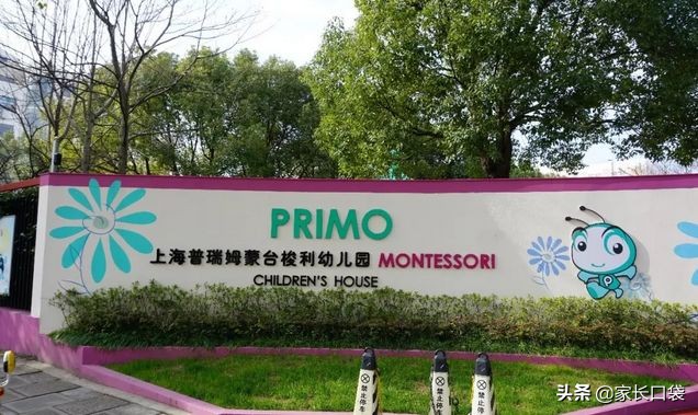 9月开学季幼儿园,9月份开学的幼儿园一般几月报名