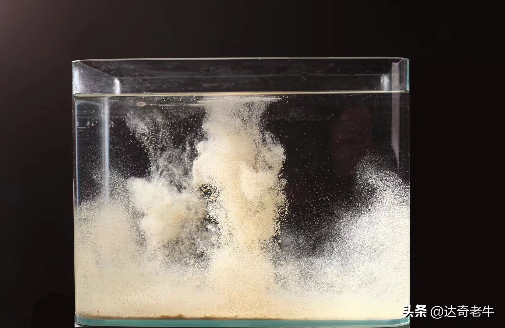 散炮钓底怎么开饵,散炮饵配方大全