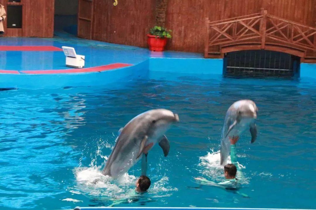 昆明有什么好玩的景点推荐一下,昆明有些什么好玩的景点推荐一下