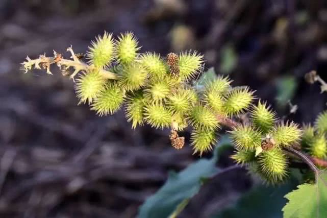 体验分享｜坐着高铁，带着妈妈去香港打皮秒