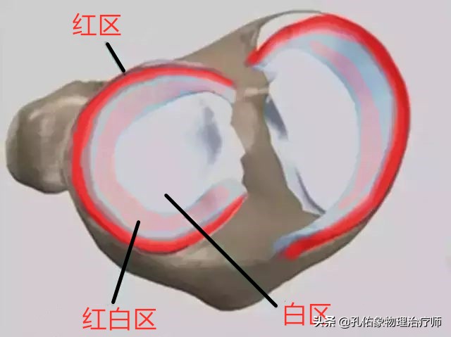 膝盖疼是什么病因需要做哪些检查,膝盖疼痛的根本原因与解决方法