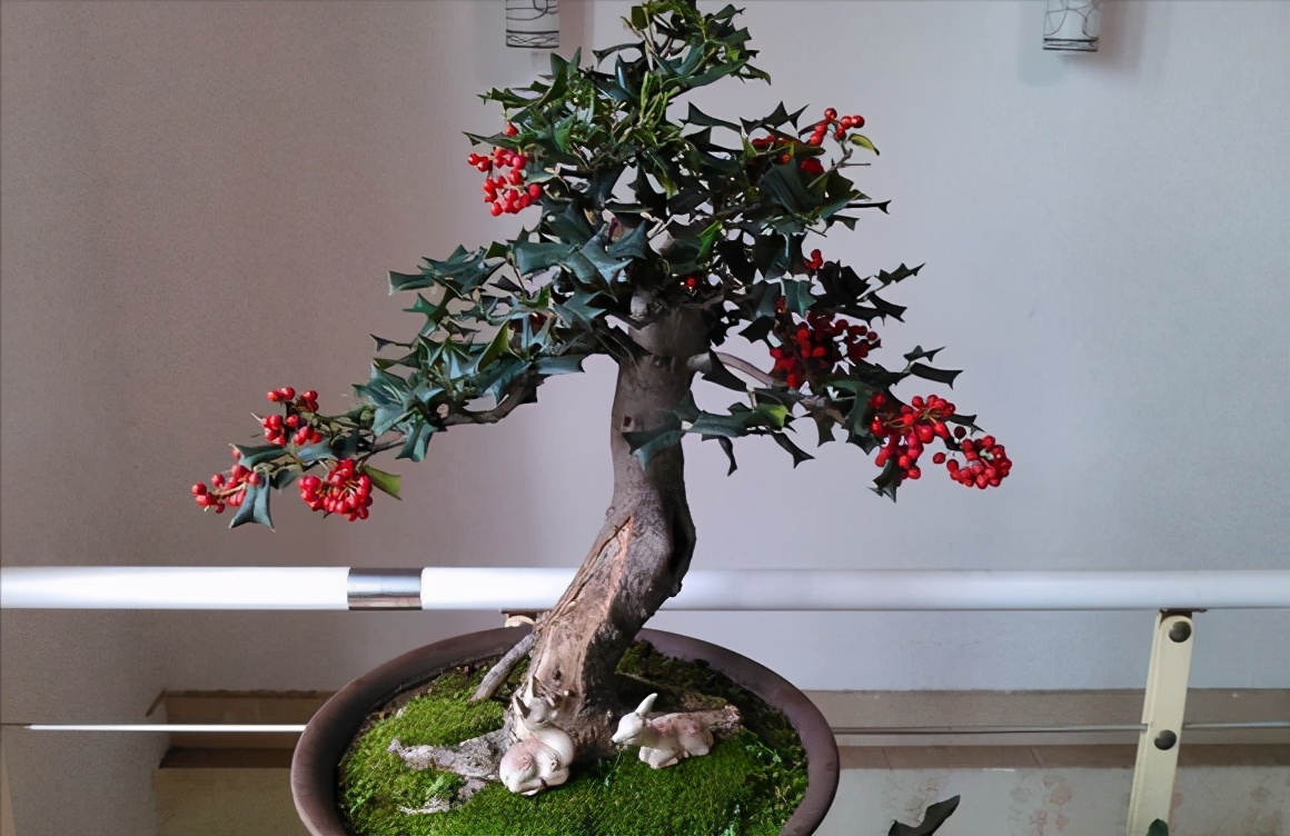 种植名贵树致富经全集,树木种植致富好机会