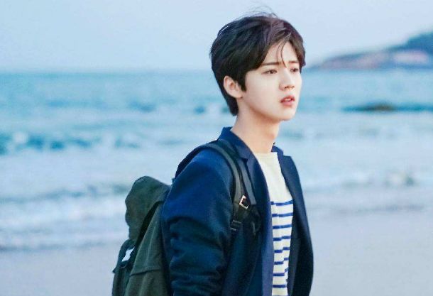 巅峰时期鹿晗王俊凯,明星去逛街被路人发现