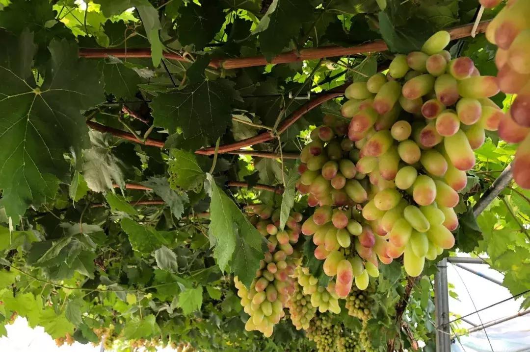 简阳五一有什么好玩的地方,国庆七天假去什么地方玩